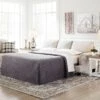 Meggett Linen Queen Sofa Sleeper