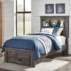 Drystan Youth Bookcase Storage Bed
