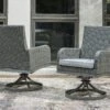 Elite Park Outdoor Swivel Chair (Set Of 2)